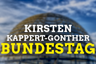 Kirsten Kappert-Gonther MdBB